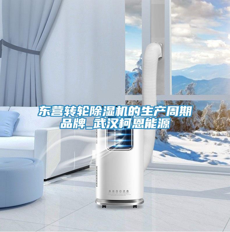 東營轉(zhuǎn)輪除濕機的生產(chǎn)周期品牌_武漢柯恩能源