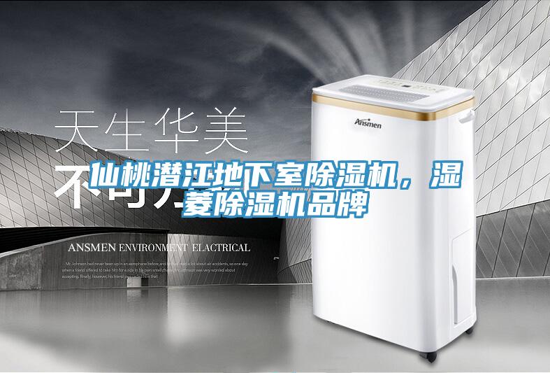 仙桃潛江地下室除濕機(jī)，濕菱除濕機(jī)品牌