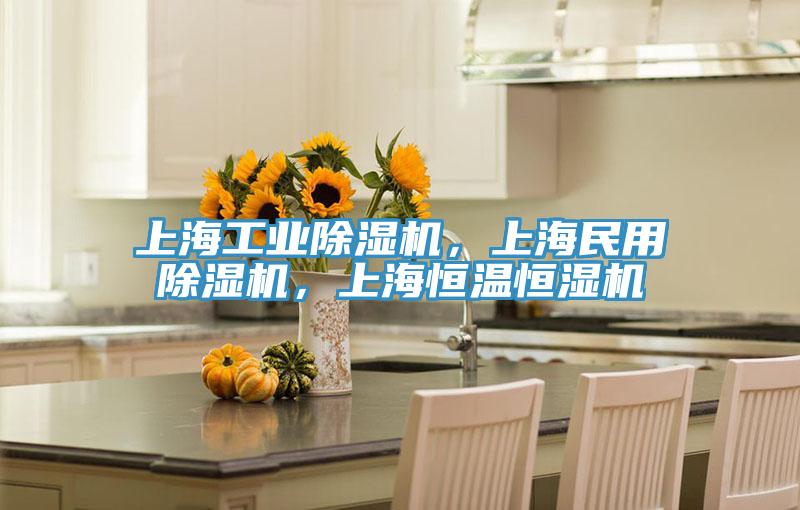 上海工業(yè)除濕機，上海民用除濕機，上海恒溫恒濕機