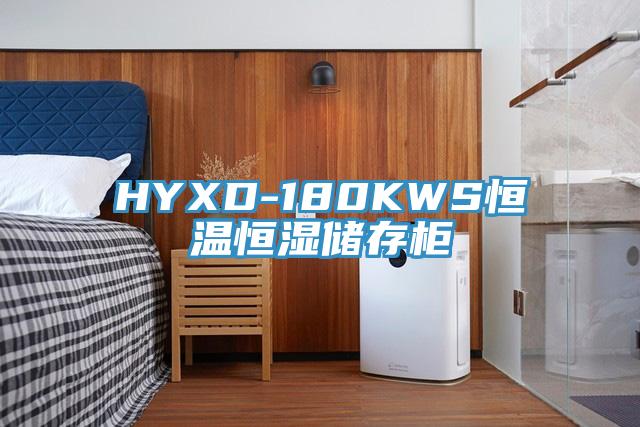 HYXD-180KWS恒溫恒濕儲(chǔ)存柜