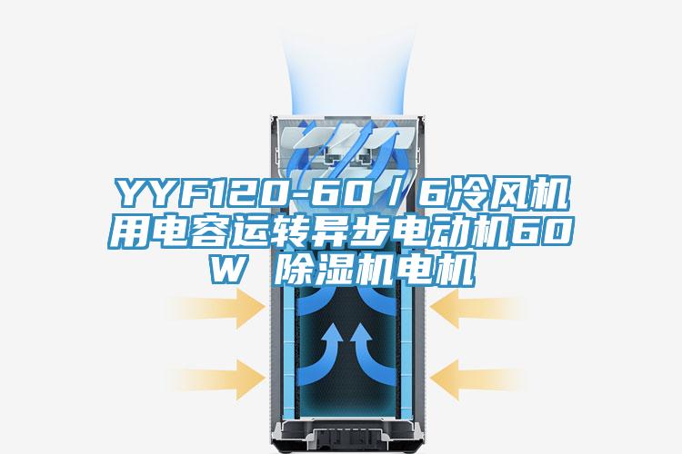 YYF120-60／6冷風(fēng)機(jī)用電容運(yùn)轉(zhuǎn)異步電動機(jī)60W 除濕機(jī)電機(jī)