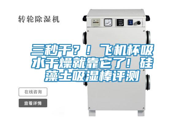 三秒干？! 飛機(jī)杯吸水干燥就靠它了! 硅藻土吸濕棒評測