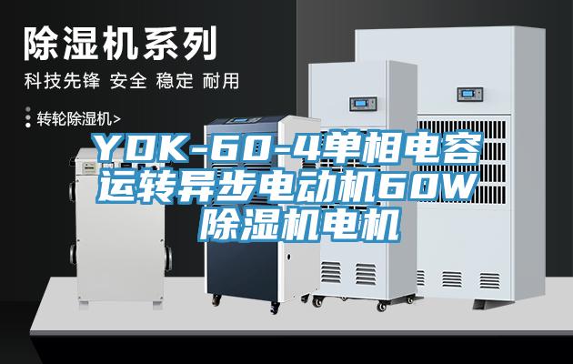 YDK-60-4單相電容運(yùn)轉(zhuǎn)異步電動機(jī)60W 除濕機(jī)電機(jī)