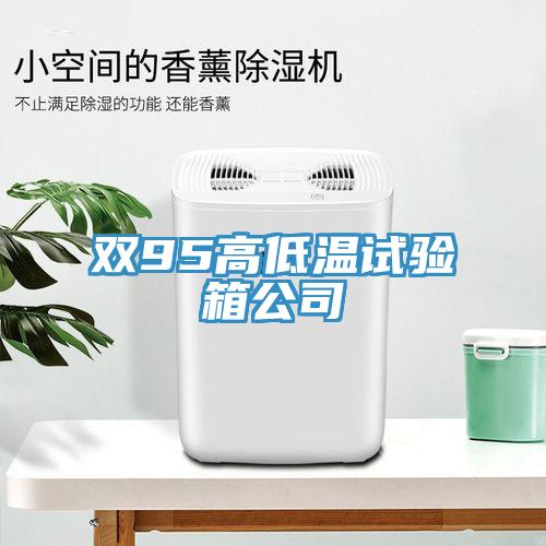 雙95高低溫試驗(yàn)箱公司