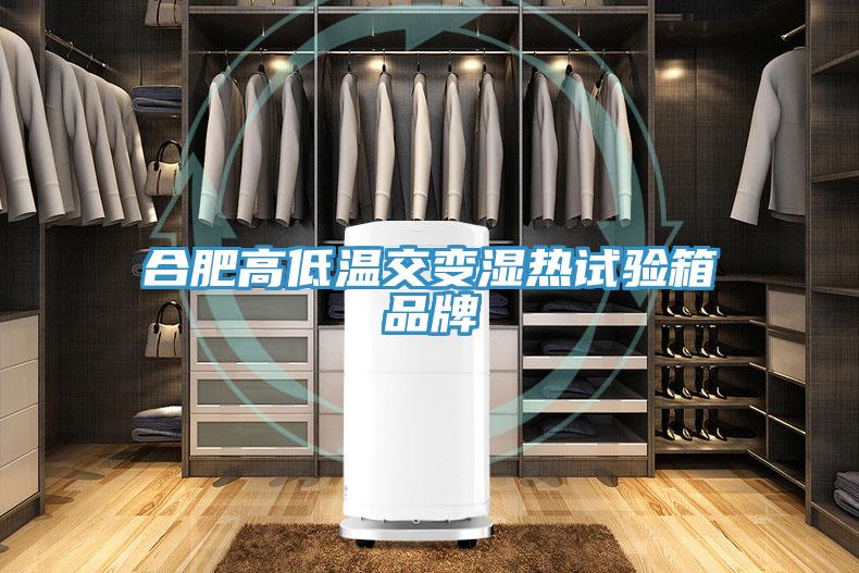 合肥高低溫交變濕熱試驗(yàn)箱品牌