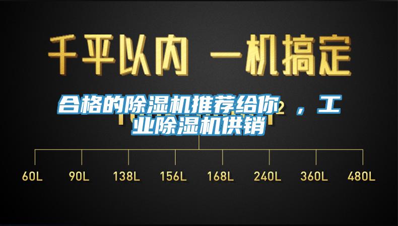 合格的除濕機(jī)推薦給你 ，工業(yè)除濕機(jī)供銷