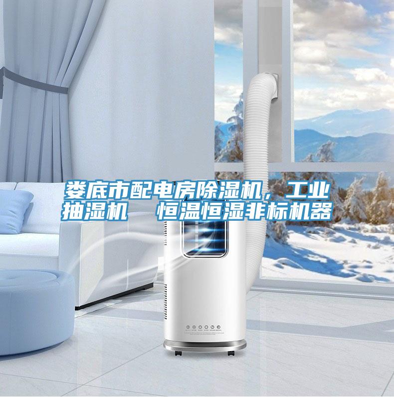 婁底市配電房除濕機(jī)，工業(yè)抽濕機(jī)  恒溫恒濕非標(biāo)機(jī)器