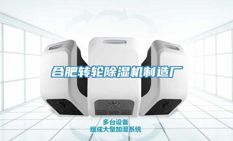 合肥轉(zhuǎn)輪除濕機(jī)制造廠