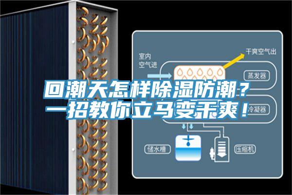 回潮天怎樣除濕防潮？一招教你立馬變干爽！