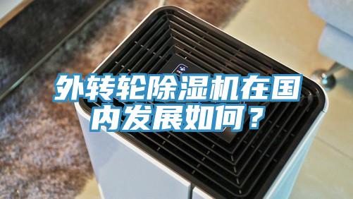 外轉輪除濕機在國內發(fā)展如何？