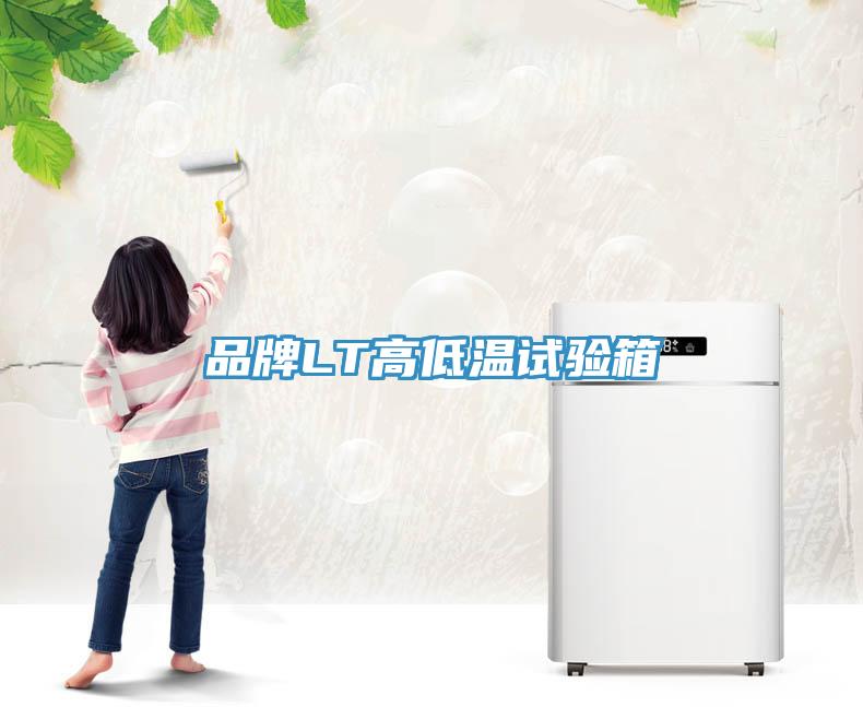品牌LT高低溫試驗箱