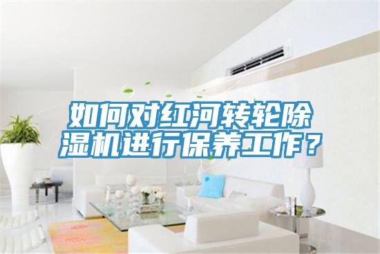 如何對紅河轉(zhuǎn)輪除濕機(jī)進(jìn)行保養(yǎng)工作？