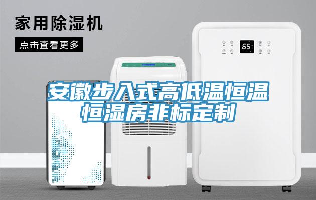 安徽步入式高低溫恒溫恒濕房非標(biāo)定制