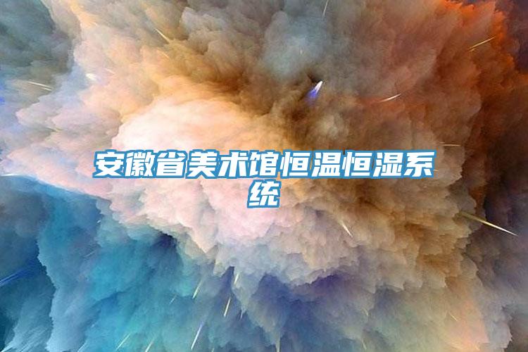安徽省美術(shù)館恒溫恒濕系統(tǒng)