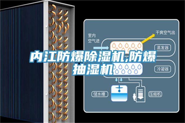 內(nèi)江防爆除濕機,防爆抽濕機