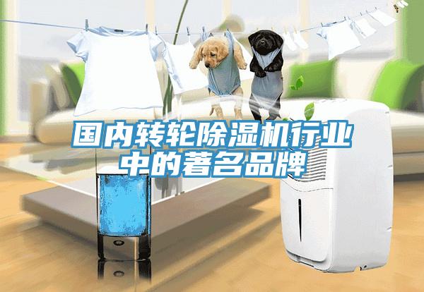 國內(nèi)轉(zhuǎn)輪除濕機行業(yè)中的著名品牌