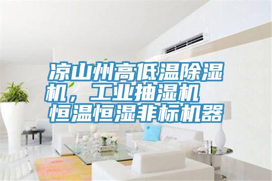 涼山州高低溫除濕機(jī)，工業(yè)抽濕機(jī)  恒溫恒濕非標(biāo)機(jī)器