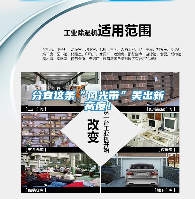分宜這條“風(fēng)光帶”美出新高度！