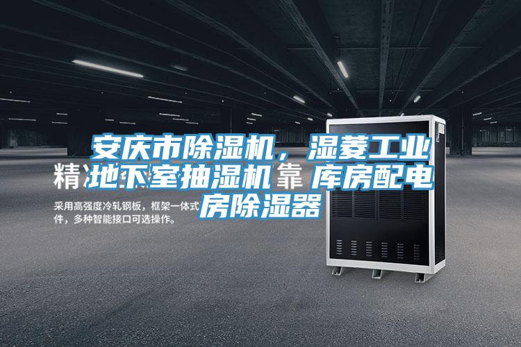 安慶市除濕機，濕菱工業(yè)地下室抽濕機  庫房配電房除濕器