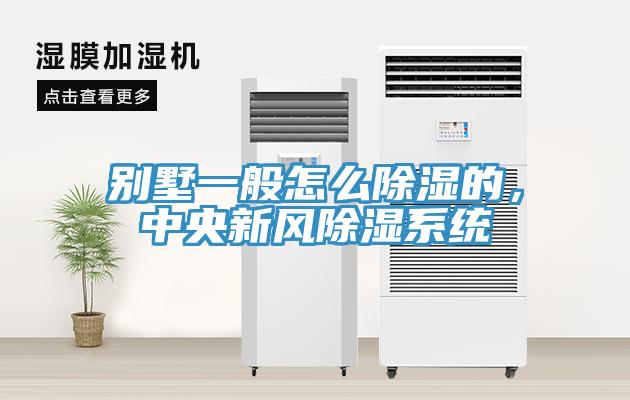 別墅一般怎么除濕的，中央新風(fēng)除濕系統(tǒng)