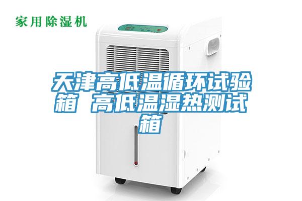 天津高低溫循環(huán)試驗(yàn)箱 高低溫濕熱測試箱