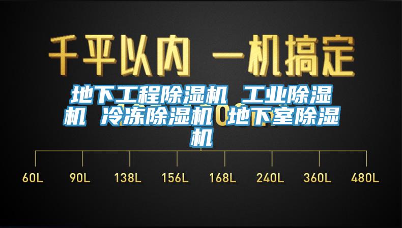 地下工程除濕機 工業(yè)除濕機 冷凍除濕機 地下室除濕機
