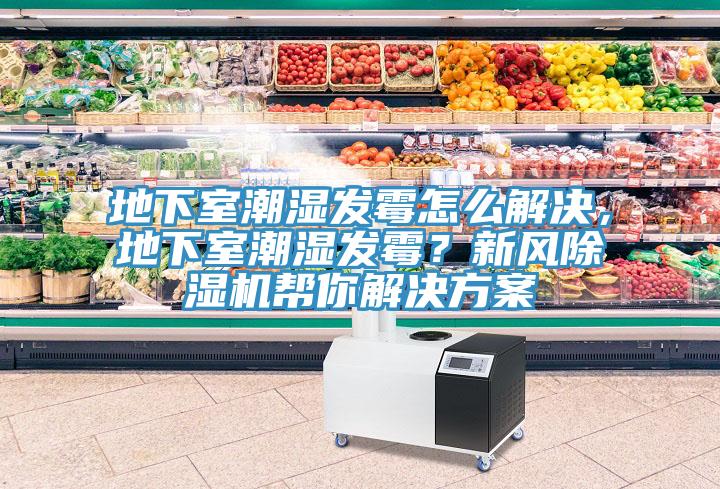 地下室潮濕發(fā)霉怎么解決，地下室潮濕發(fā)霉？新風(fēng)除濕機幫你解決方案