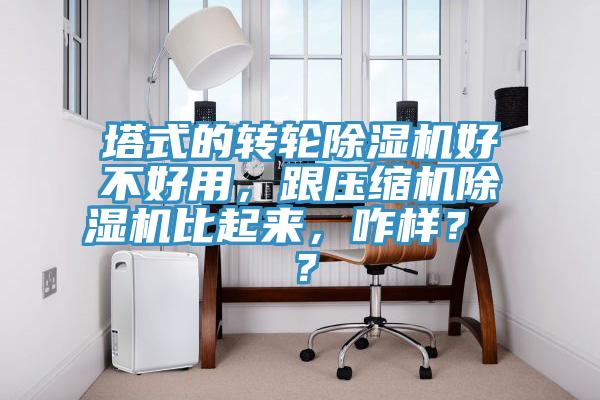 塔式的轉(zhuǎn)輪除濕機(jī)好不好用，跟壓縮機(jī)除濕機(jī)比起來(lái)，咋樣？ ？
