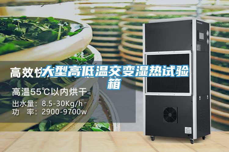大型高低溫交變濕熱試驗(yàn)箱