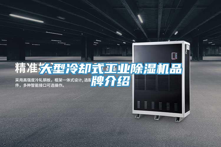 大型冷卻式工業(yè)除濕機(jī)品牌介紹