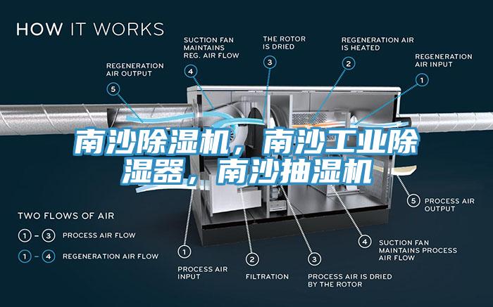 南沙除濕機，南沙工業(yè)除濕器，南沙抽濕機