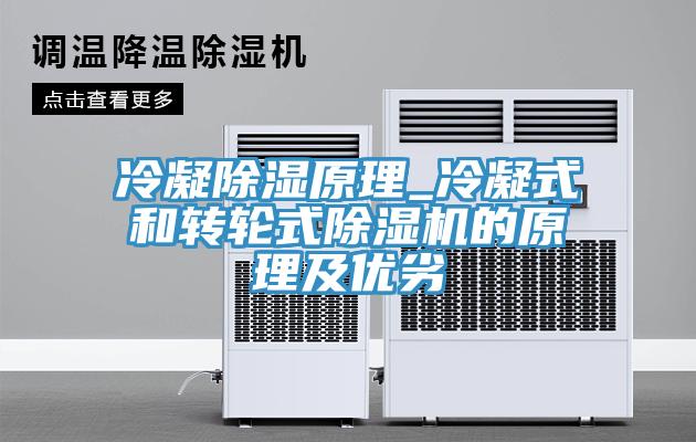冷凝除濕原理_冷凝式和轉(zhuǎn)輪式除濕機(jī)的原理及優(yōu)劣