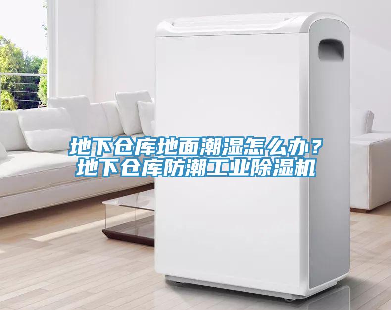 地下倉庫地面潮濕怎么辦？地下倉庫防潮工業(yè)除濕機