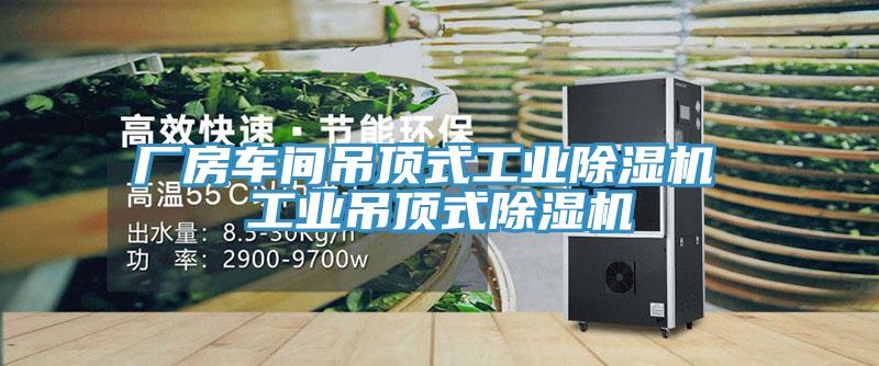 廠房車(chē)間吊頂式工業(yè)除濕機(jī) 工業(yè)吊頂式除濕機(jī)