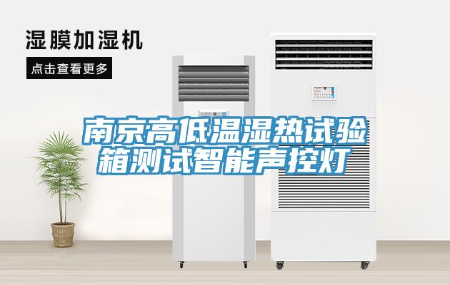 南京高低溫濕熱試驗箱測試智能聲控?zé)?></div>
								<div   id=