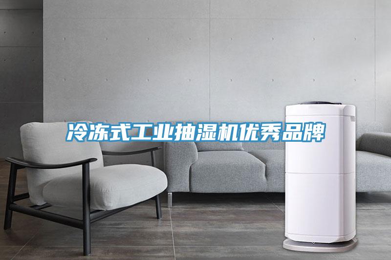 冷凍式工業(yè)抽濕機優(yōu)秀品牌