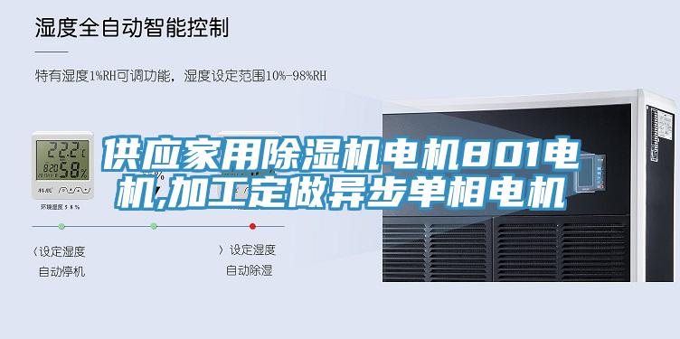 供應(yīng)家用除濕機(jī)電機(jī)801電機(jī),加工定做異步單相電機(jī)