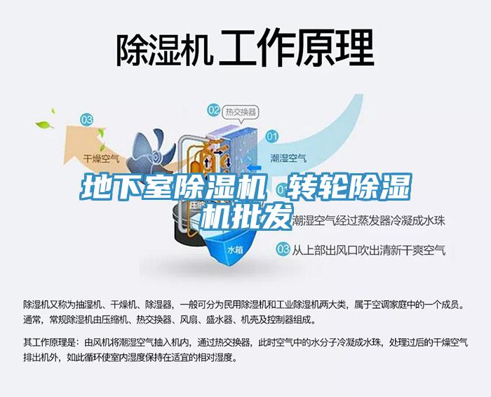 地下室除濕機 轉(zhuǎn)輪除濕機批發(fā)