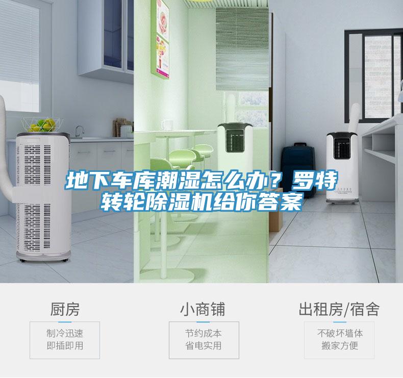 地下車庫潮濕怎么辦？羅特轉(zhuǎn)輪除濕機給你答案