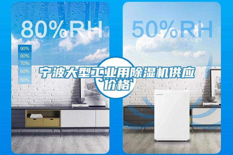 寧波大型工業(yè)用除濕機(jī)供應(yīng)價(jià)格