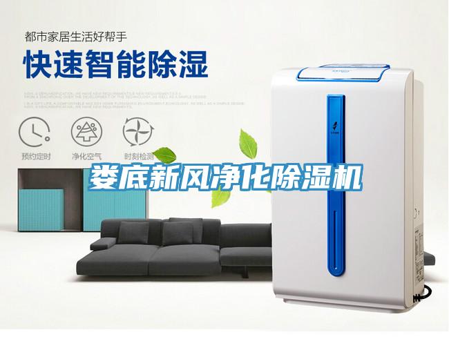 婁底新風(fēng)凈化除濕機(jī)