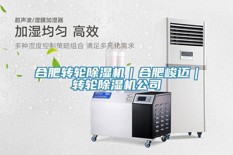 合肥轉(zhuǎn)輪除濕機(jī)｜合肥峻邁｜轉(zhuǎn)輪除濕機(jī)公司