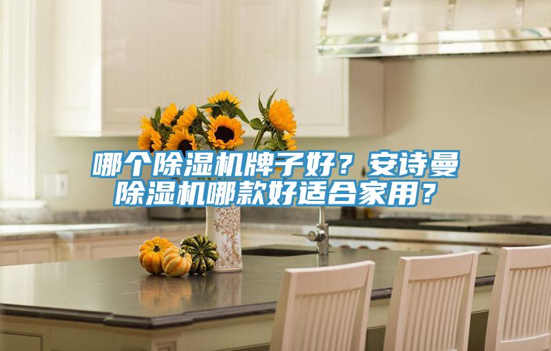 哪個(gè)除濕機(jī)牌子好？安詩曼除濕機(jī)哪款好適合家用？