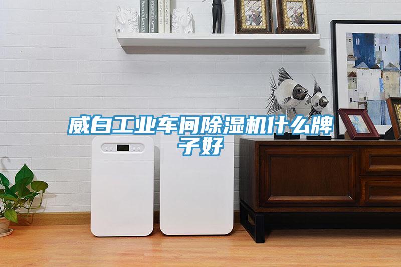 威白工業(yè)車間除濕機(jī)什么牌子好