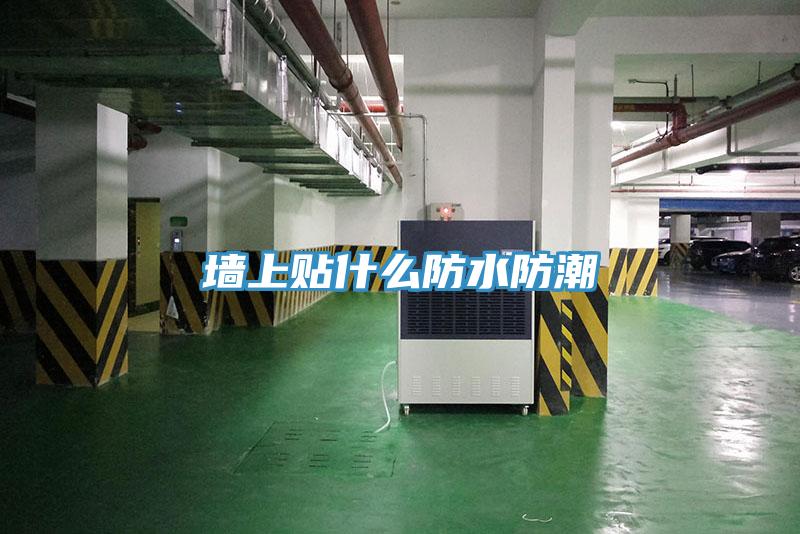 墻上貼什么防水防潮