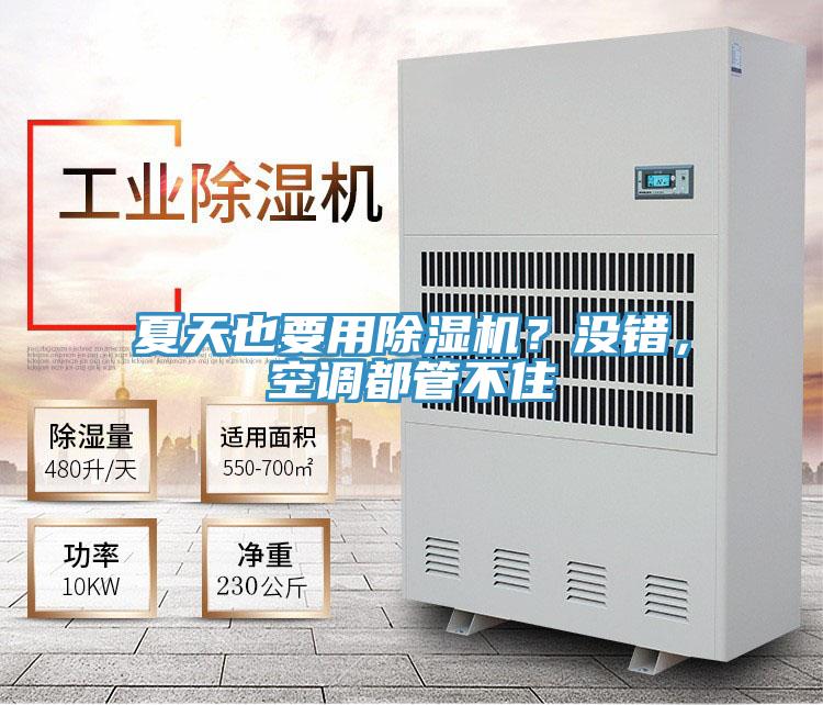 夏天也要用除濕機(jī)？沒(méi)錯(cuò)，空調(diào)都管不住