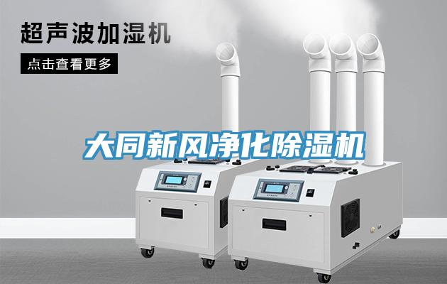 大同新風(fēng)凈化除濕機(jī)