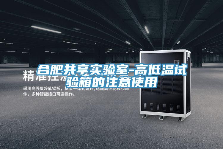 合肥共享實(shí)驗(yàn)室-高低溫試驗(yàn)箱的注意使用