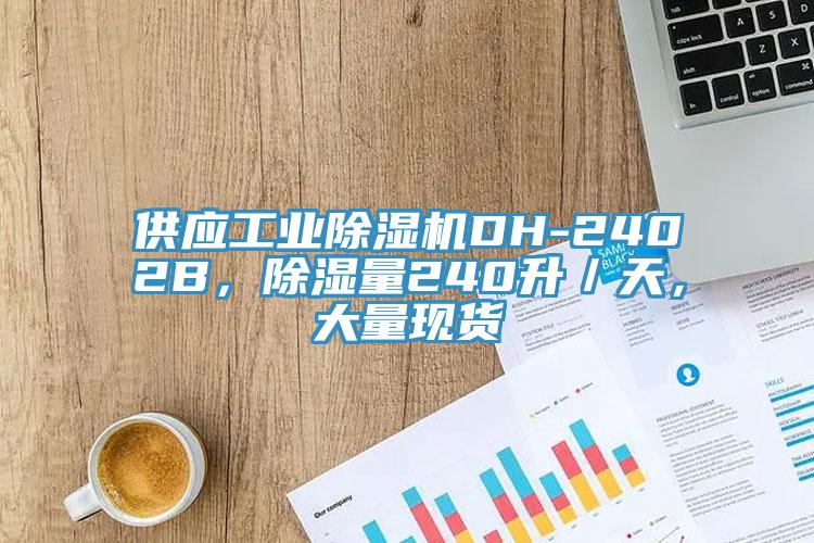 供應(yīng)工業(yè)除濕機(jī)DH-2402B，除濕量240升／天，大量現(xiàn)貨