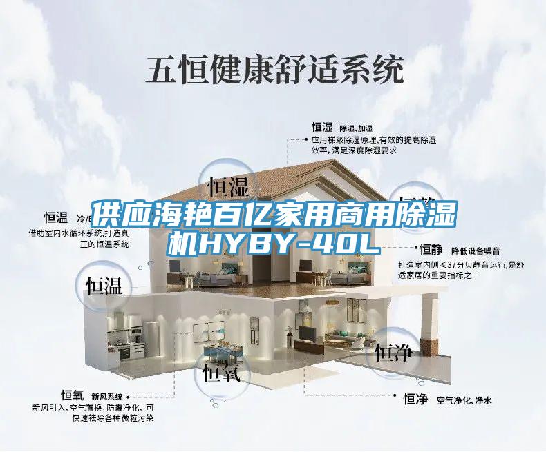 供應(yīng)海艷百億家用商用除濕機(jī)HYBY-40L